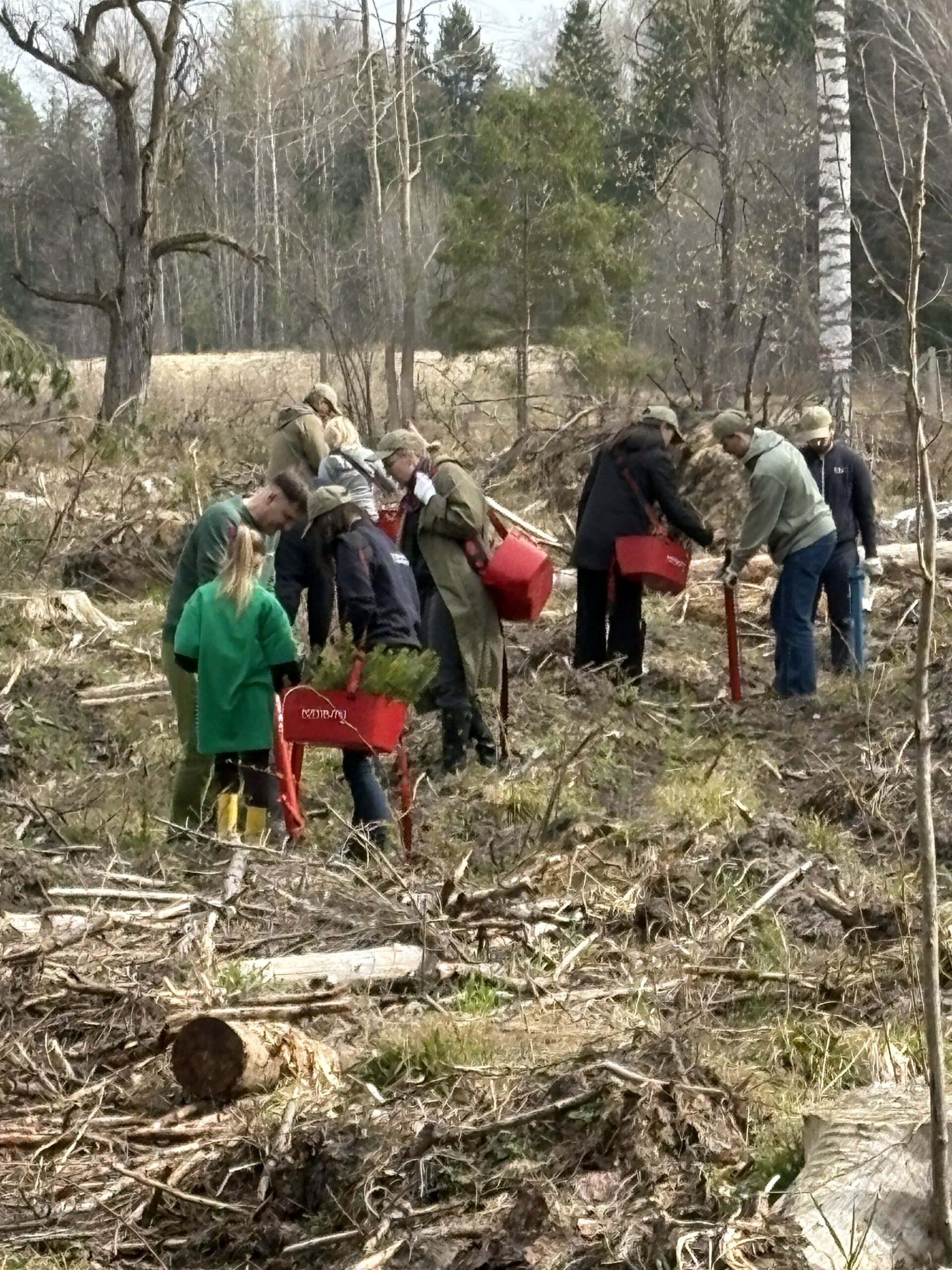 8513f71d-5238-4075-bfac-bafd359f17ce